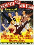 Affiche de Beau Fixe sur New York, film à voir en streaming sur Pygargue