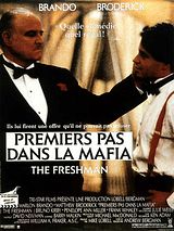 Affiche de Premiers pas dans la mafia, film à voir en streaming sur Pygargue