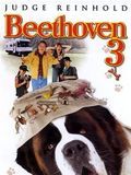 Affiche de Beethoven 3, film à voir en streaming sur Pygargue