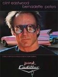 Affiche de Pink Cadillac, film à voir en streaming sur Pygargue