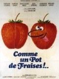 Affiche de Comme un pot de fraises, film à voir en streaming sur Pygargue
