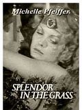 Affiche de Splendor in the Grass, film à voir en streaming sur Pygargue