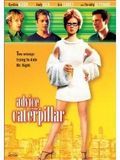 Affiche de Advice from a Caterpillar, film à voir en streaming sur Pygargue