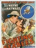Affiche de Alerte aux marines, film à voir en streaming sur Pygargue