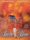 Affiche de Barbe-Bleue, film à voir en streaming sur Pygargue