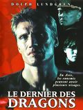 Affiche de Le dernier des dragons, film à voir en streaming sur Pygargue