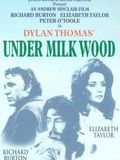 Affiche de Under Milk Wood, film à voir en streaming sur Pygargue