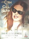 Affiche de Un Coin de ciel bleu, film à voir en streaming sur Pygargue