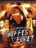 Affiche de Les Griffes de la forêt, film à voir en streaming sur Pygargue