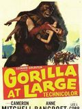 Affiche de Gorilla at Large, film à voir en streaming sur Pygargue