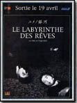 Affiche de Le Labyrinthe des reves, film à voir en streaming sur Pygargue