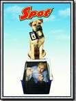 Affiche de Spot, film à voir en streaming sur Pygargue