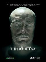 Affiche de Chilling Visions: 5 Senses of Fear, film à voir en streaming sur Pygargue