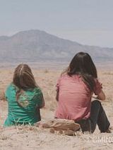 Affiche de Sun Belt Express, film à voir en streaming sur Pygargue