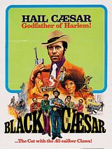 Affiche de Black Cesar, le parrain de Harlem, film à voir en streaming sur Pygargue