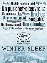 poster du film Winter Sleep
