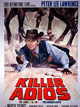 Affiche de Killer, adios, film à voir en streaming sur Pygargue