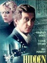 Affiche de Hidden city, film à voir en streaming sur Pygargue