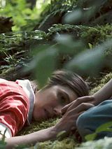 Affiche de Le chemin rêvé, film à voir en streaming sur Pygargue
