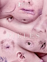 Affiche de Skins, film à voir en streaming sur Pygargue