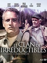 Affiche de Le Clan des irréductibles, film à voir en streaming sur Pygargue