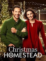Affiche de Noël avec une star, film à voir en streaming sur Pygargue