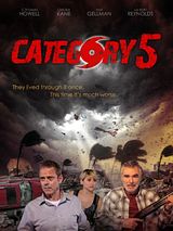 Affiche de Au coeur de la tempête, film à voir en streaming sur Pygargue