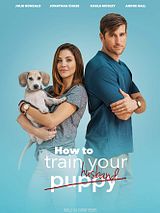 Affiche de How To Train Your Husband, film à voir en streaming sur Pygargue