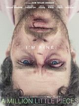 Affiche de A Million Little Pieces, film à voir en streaming sur Pygargue
