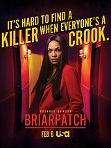 Briarpatch (Original Series Soundtrack)