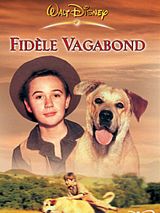Affiche de Fidèle vagabond, film à voir en streaming sur Pygargue