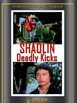 Affiche de Shaolin contre les 8 serpents, film à voir en streaming sur Pygargue