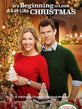 Affiche de Une histoire d'amour à Noël, film à voir en streaming sur Pygargue