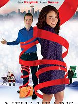 Affiche de Une belle rencontre de Noël, film à voir en streaming sur Pygargue