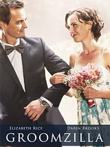 Affiche de Un mariage plus que parfait, film à voir en streaming sur Pygargue