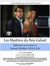 Affiche de Les Mystères du Bois Galant, film à voir en streaming sur Pygargue