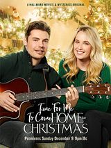 Affiche de A la maison pour Noël, film à voir en streaming sur Pygargue