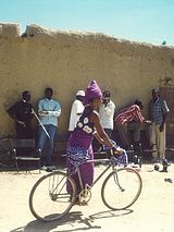 Affiche de La Vie sur terre, film à voir en streaming sur Pygargue