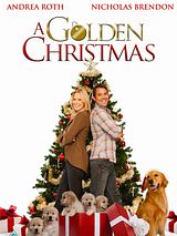 Affiche de Des souvenirs pour Noël, film à voir en streaming sur Pygargue