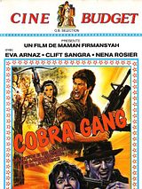 Affiche de Violent killer, film à voir en streaming sur Pygargue