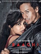 Affiche de Baaghi, film à voir en streaming sur Pygargue