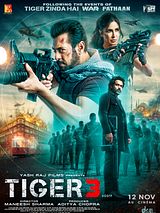 Affiche de Tiger 3, film à voir en streaming sur Pygargue