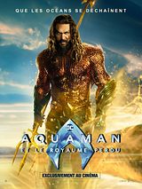 Affiche de Aquaman et le Royaume perdu, film à voir en streaming sur Pygargue