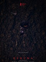 Affiche de Exhuma, film à voir en streaming sur Pygargue