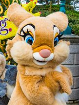 photo de Miss Bunny