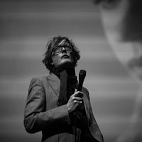 Photo  Pulp