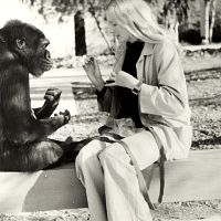 Photo Penny Patterson
