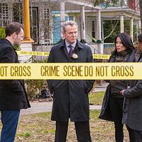 Photo Aidan Quinn