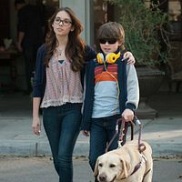 Photo Haley Pullos