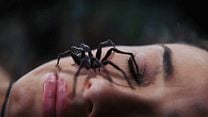 image de Spider Island Bande-annonce VO STFR